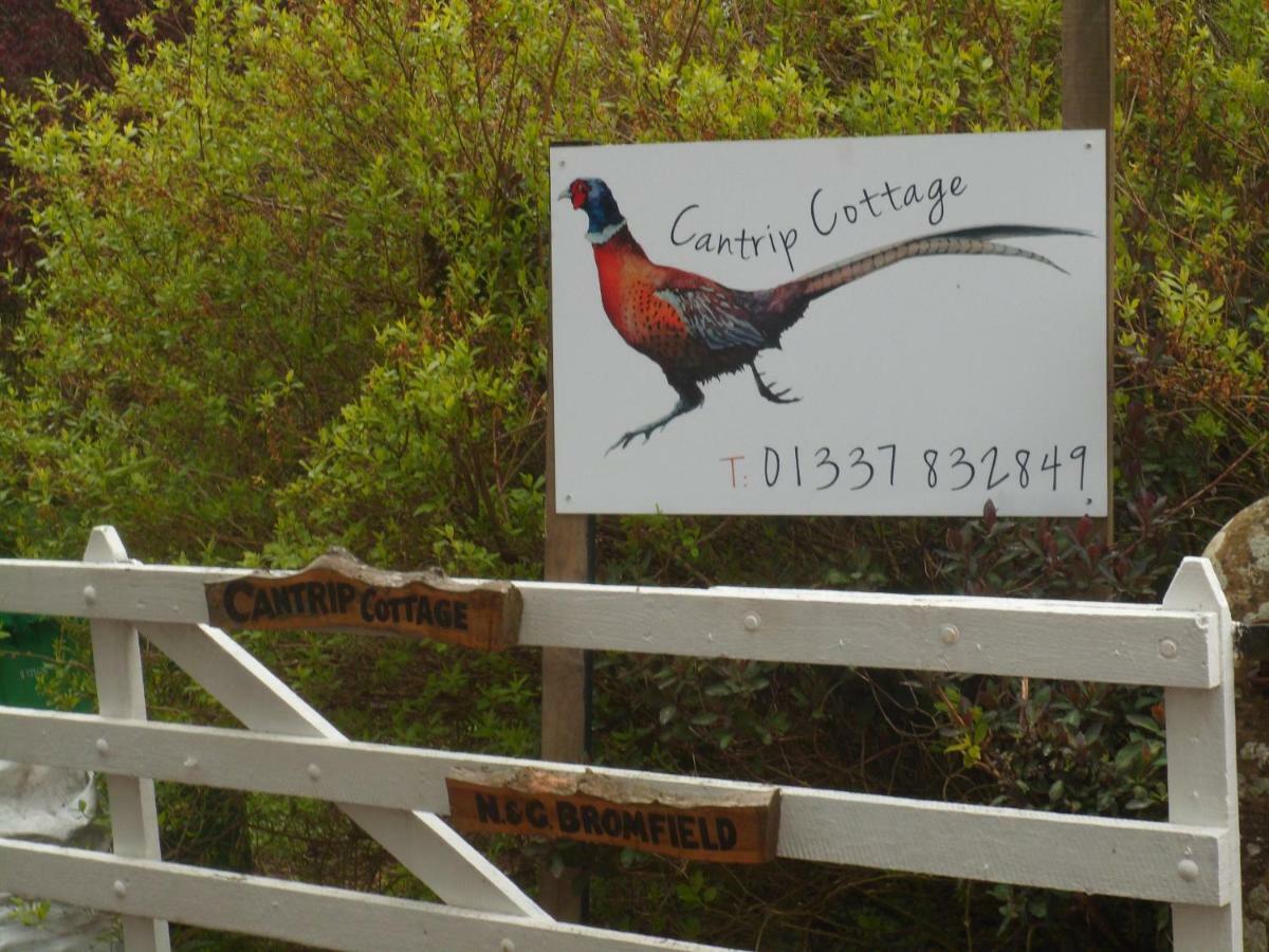 Cantrip Cottage Cupar Eksteriør bilde